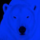 POLAR BEAR LION VIOLET Lion Showroom - Inkjet on plexi, limited editions, numbered and signed. Wildlife painting Art and decoration. Click to select an image, organise your own set, order from the painter on line